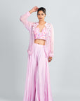 Clara Pink